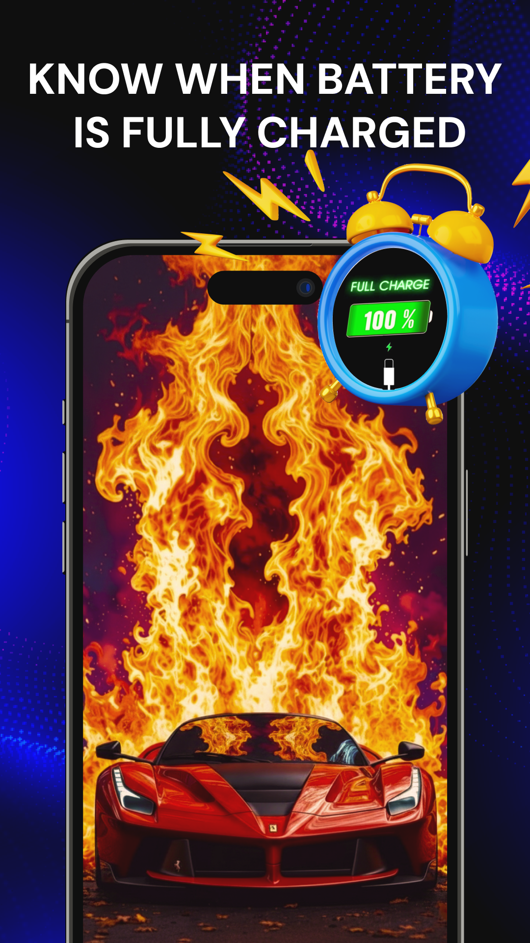 Application screenshot